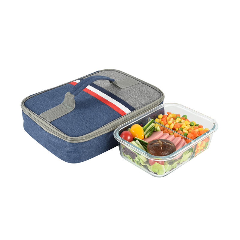 JS-CL-020-Borsa termica/borsa da picnic in PVC