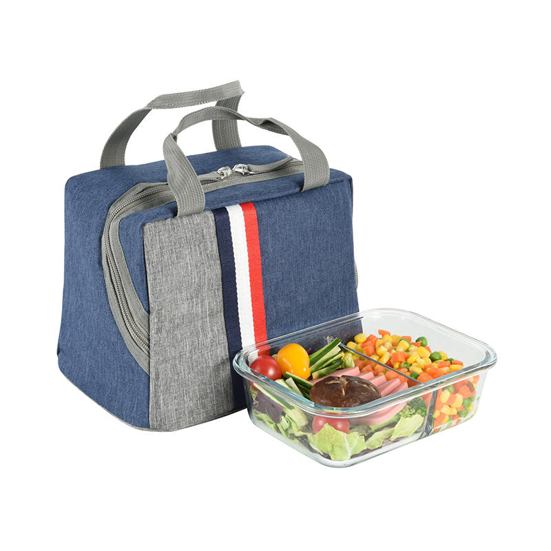 JS-C-L019-Borsa termica/borsa da picnic in PVC